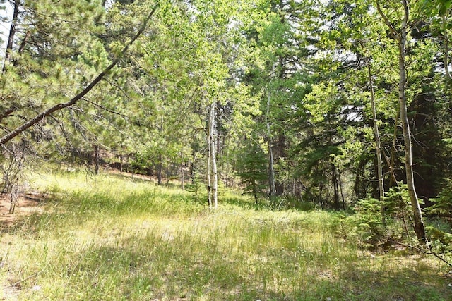 Listing photo 3 for Galena Rd, Deadwood SD 57732