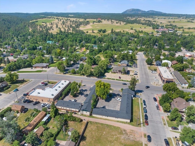 bird's eye view with a mountain view