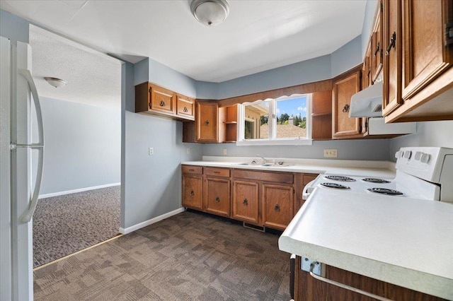 kitchen with sink, white appliances, and dark colored carpet