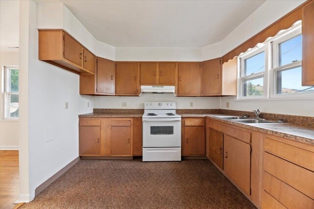 kitchen featuring electric stove and sink