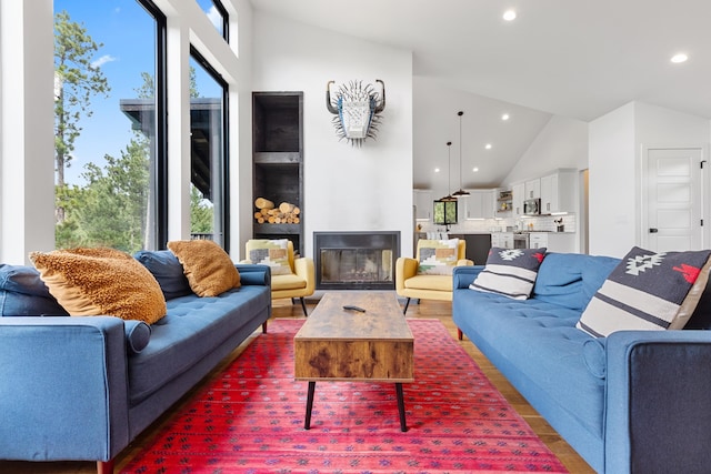 living room with high vaulted ceiling and hardwood / wood-style floors