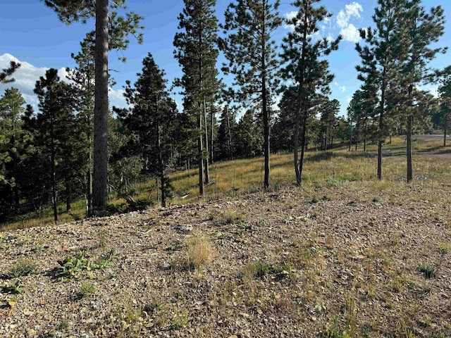 Listing photo 2 for LOT21 Overlook Ct, Lead SD 57754