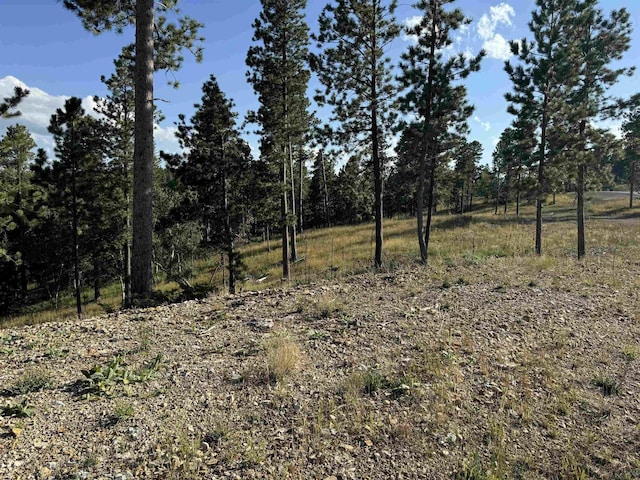 Listing photo 2 for LOT21 Overlook Ct, Lead SD 57754