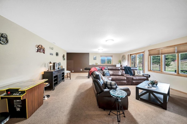 living area featuring carpet floors