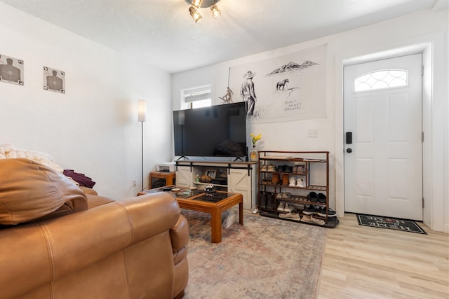 living room featuring light wood-type flooring