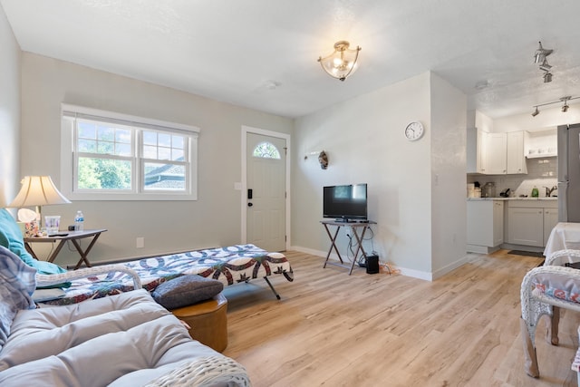 living room featuring light wood-type flooring and rail lighting