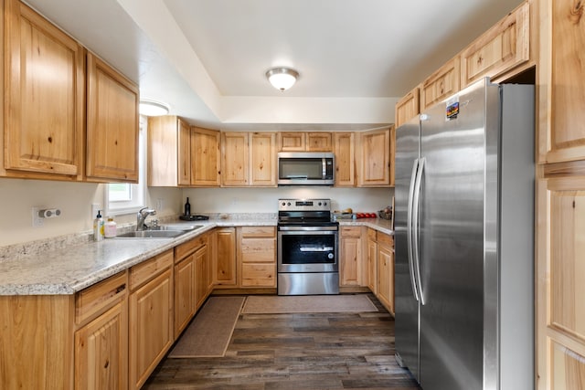 kitchen featuring sink, light brown cabinets, appliances with stainless steel finishes, and dark hardwood / wood-style floors