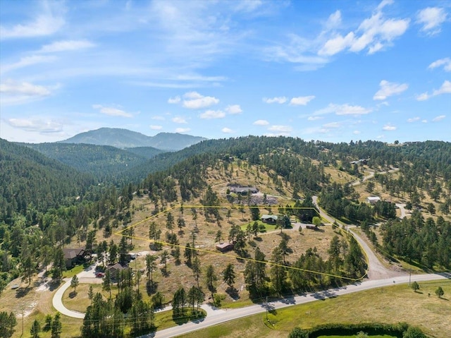 drone / aerial view with a mountain view