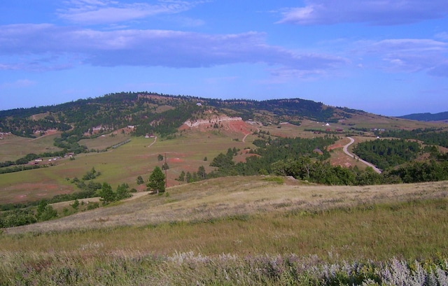 TRACT11C Lookout Vista Rd, Spearfish SD, 57783 land for sale