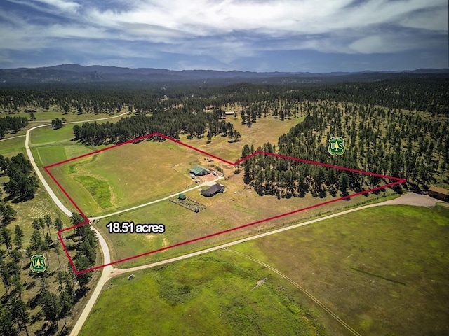 birds eye view of property with a rural view and a mountain view