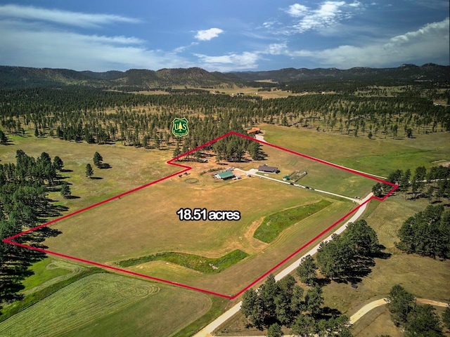 bird's eye view featuring a mountain view and a rural view