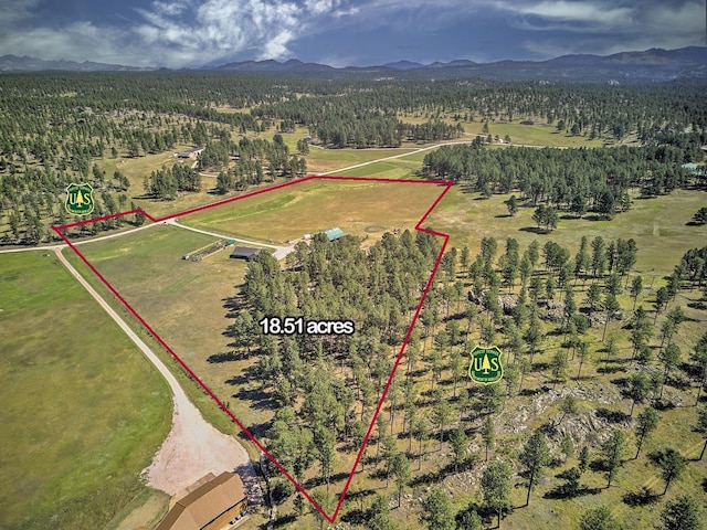 birds eye view of property featuring a forest view and a mountain view