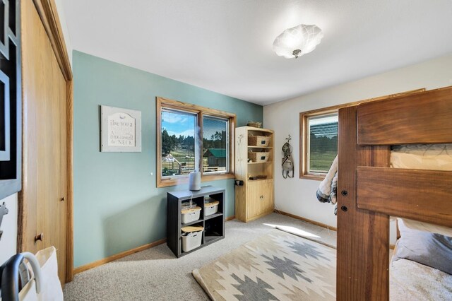 bedroom with light colored carpet