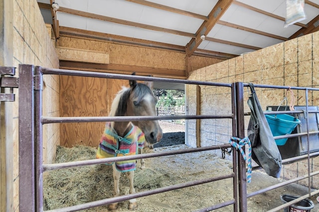 view of horse barn