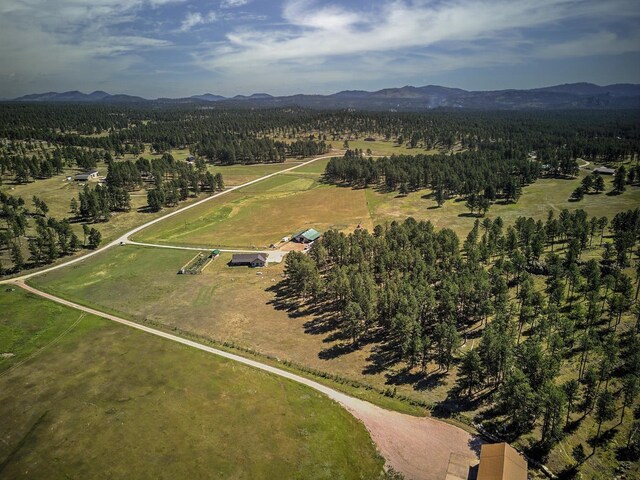 view of yard with a rural view