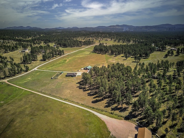 birds eye view of property with a mountain view and a view of trees