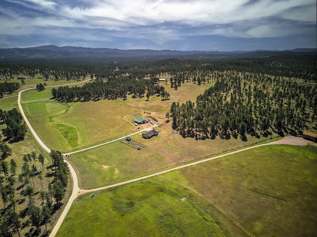 birds eye view of property featuring a mountain view and a rural view