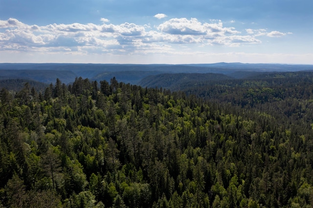 LOT28 Deer Mountain Rd, Lead, SD 57754