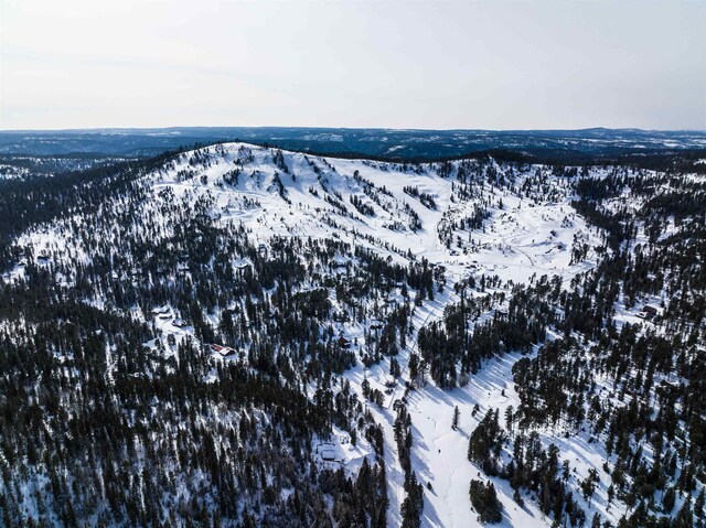 LOT28 Deer Mountain Rd, Lead, SD 57754