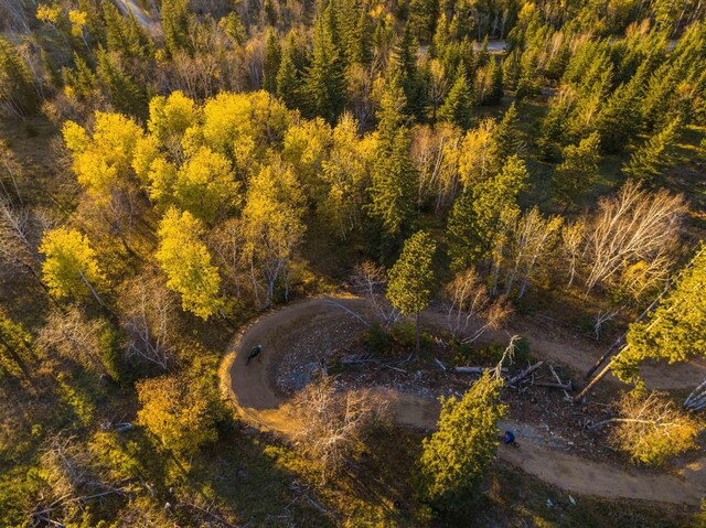 LOT28 Deer Mountain Rd, Lead, SD 57754