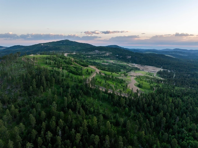 LOT28 Deer Mountain Rd, Lead, SD 57754