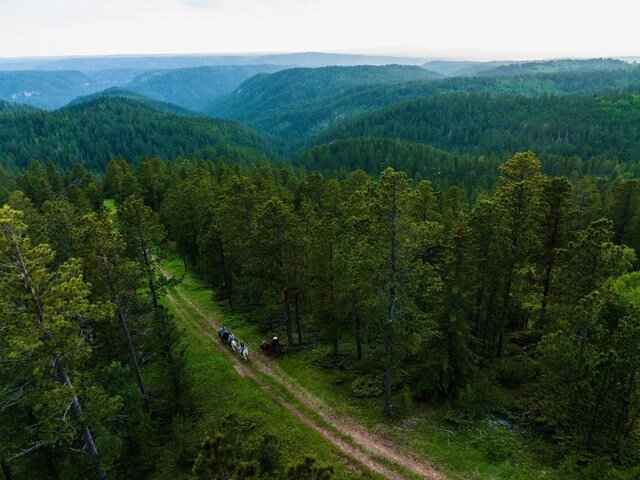 LOT28 Deer Mountain Rd, Lead, SD 57754