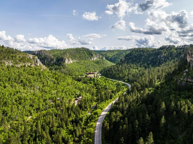 LOT28 Deer Mountain Rd, Lead, SD 57754