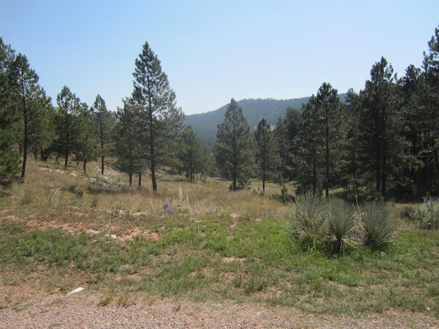 property view of mountains with a wooded view