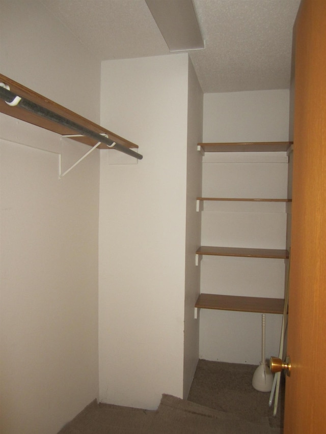 spacious closet featuring carpet flooring