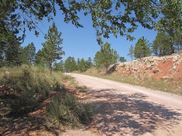 view of road