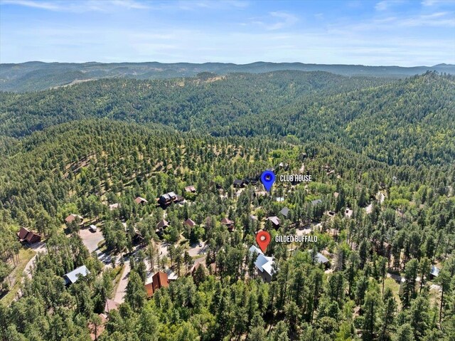 aerial view featuring a mountain view