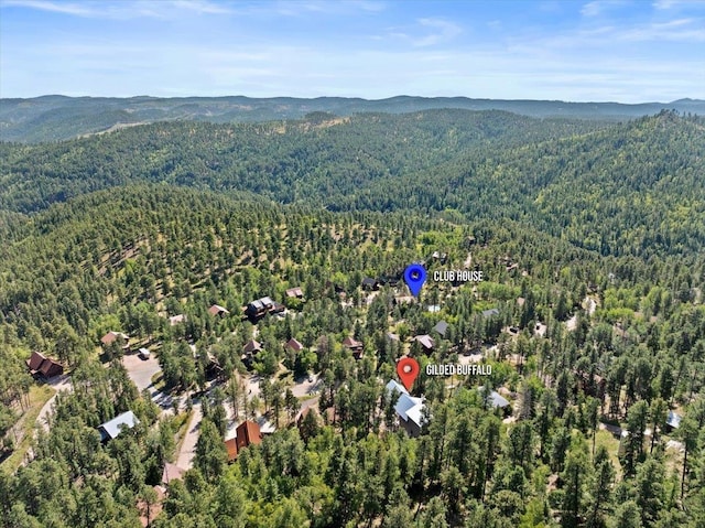 aerial view with a mountain view and a view of trees