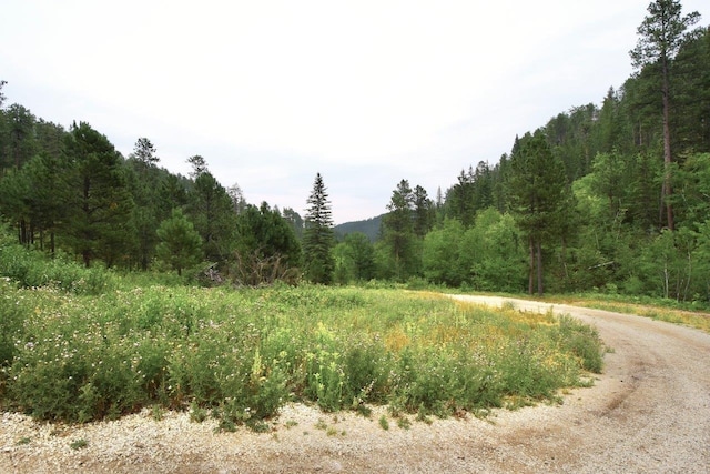 TBD Galena Rd, Deadwood SD, 57732 land for sale