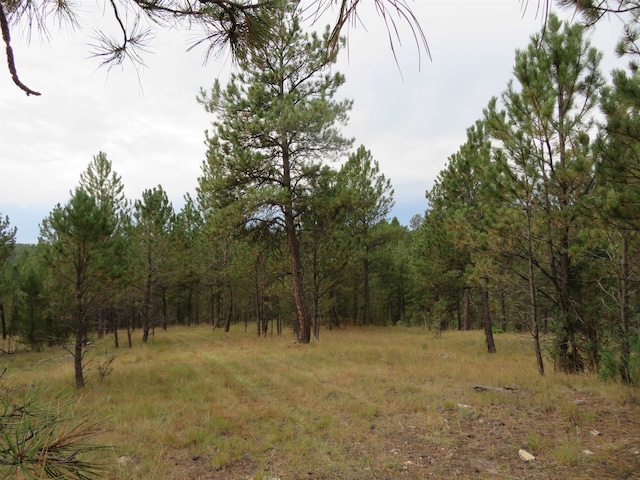 TBDLOT34B Hombre Trl, Custer SD, 57730 land for sale