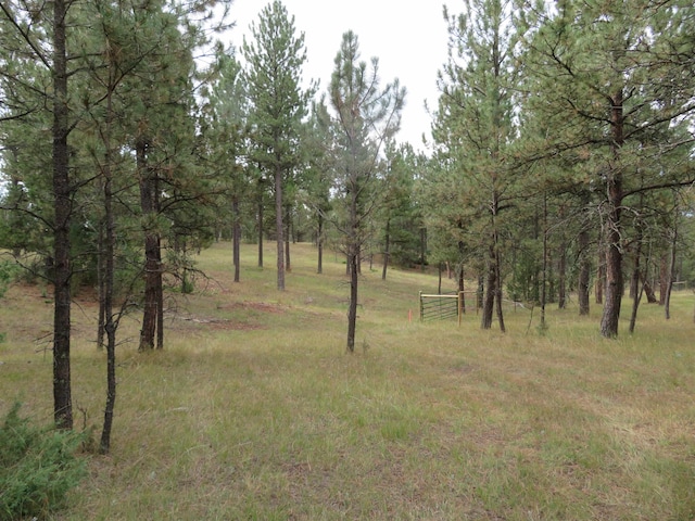 Listing photo 2 for TBDLOT34B Hombre Trl, Custer SD 57730