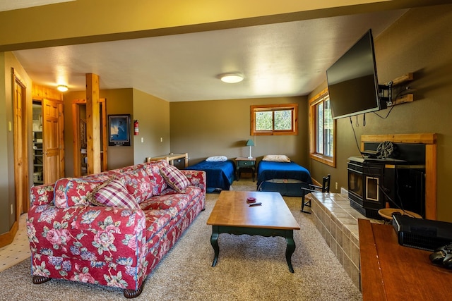 living area with carpet