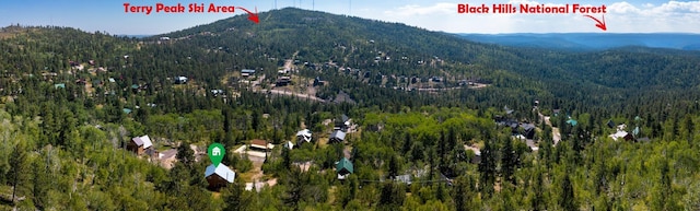 property view of mountains featuring a view of trees