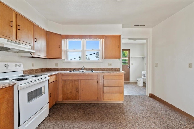 kitchen featuring carpet, electric range, and sink