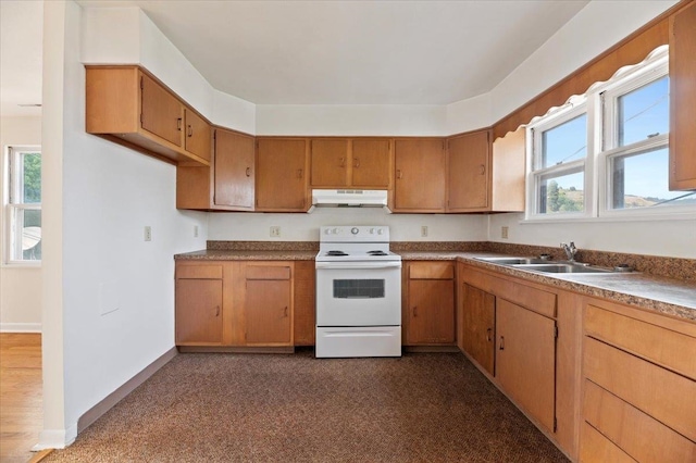 kitchen featuring dark wood-type flooring, sink, and white range with electric cooktop