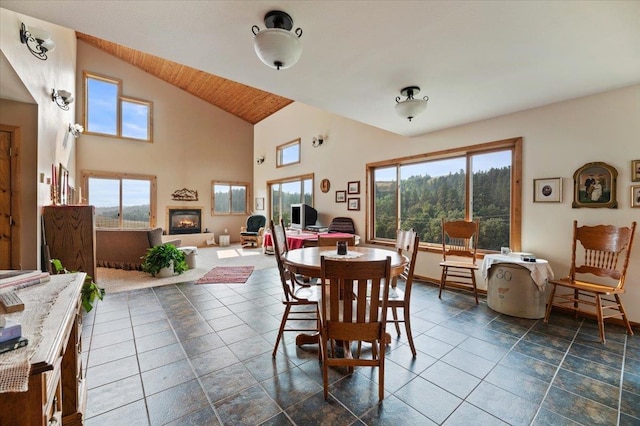 dining space featuring high vaulted ceiling and a healthy amount of sunlight