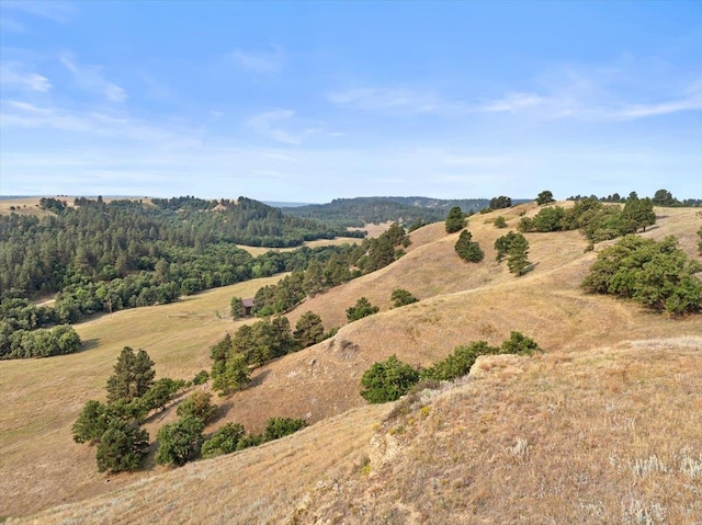 mountain view featuring a rural view