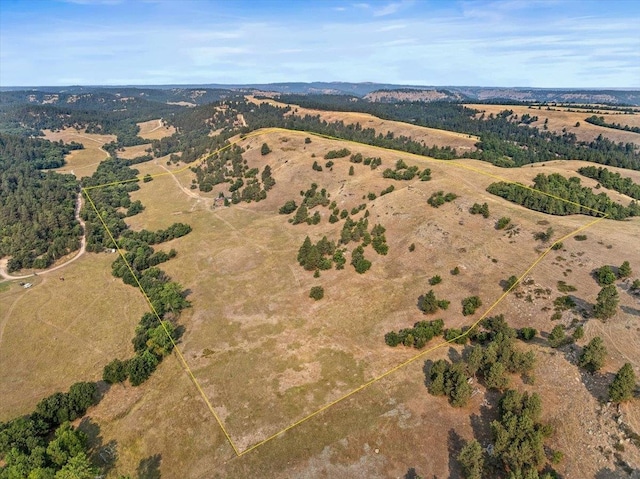 aerial view featuring a rural view