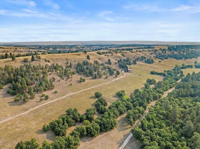 aerial view featuring a rural view