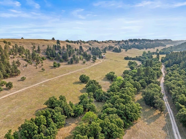 birds eye view of property featuring a rural view