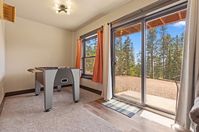 playroom with light hardwood / wood-style flooring