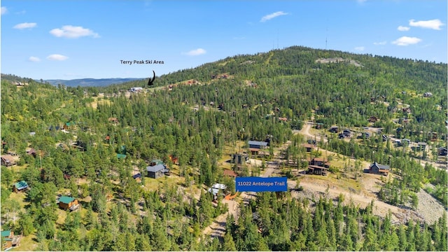 bird's eye view with a view of trees and a mountain view
