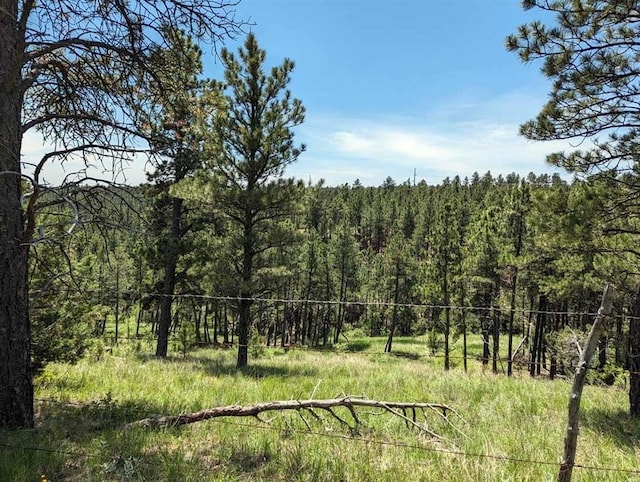 Argyle Rd, Hot Springs SD, 57747 land for sale