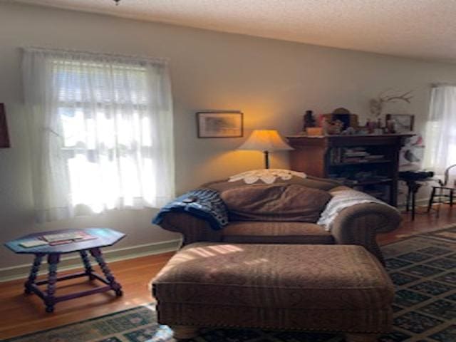 living room with hardwood / wood-style flooring