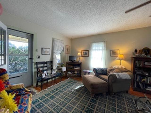 living room with a textured ceiling and hardwood / wood-style floors