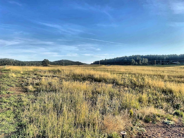 Listing photo 2 for Lot17BL2 Stone Hill, Custer SD 57730